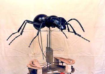 Ant 01