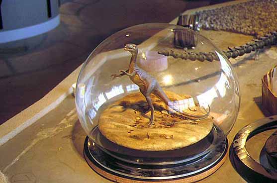 Compsognathus