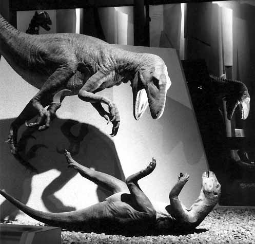Deinonychus & Hypsilophodon B& W