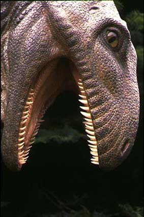 Deino. Head Close-up