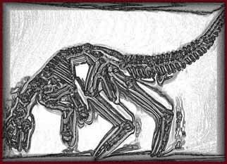 Hypsilophodon