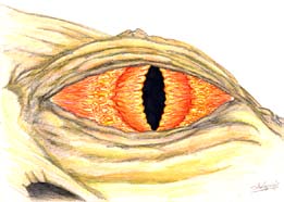 Eye colour drawing