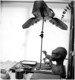 Photograph � Mike Tremblay